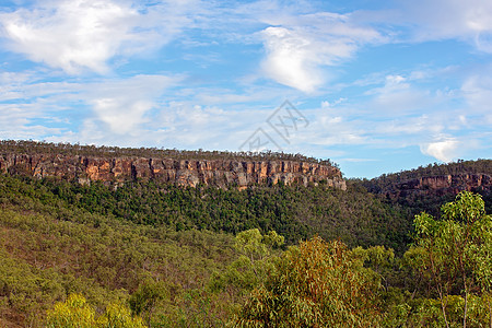 澳大利亚侵蚀岩石天空蓝色悬崖桉树植物森林国家环境图片