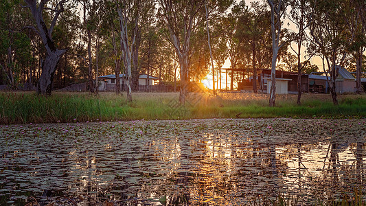 澳大利亚万里百里池塘的日落图片