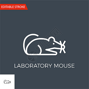实验室鼠标矢量图标技术插图化学实验药品害虫尾巴荒野化学品研究图片
