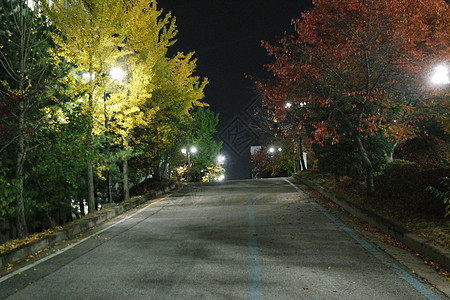 夜里看到铺面行人的道路 或走在树边的路上环境小路城市生活车道砖路路面天空树叶植物学花园图片