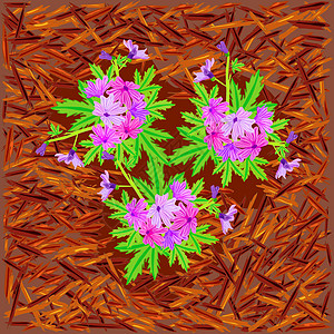 红毛和鲜花 用天然松树皮做花床的亮毛芯片园艺灌溉园林公园堆肥绿化工具卡通片草皮图片