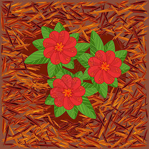 红毛和鲜花 用天然松树皮做花床的亮毛销售后院草皮露台覆盖物院子芯片服务卡通片木头图片