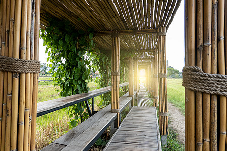 竹布隧道和桥道 走在通往稻田的路上人行道环境小路吸引力公园桥梁行人柳条绿色植物竹子图片