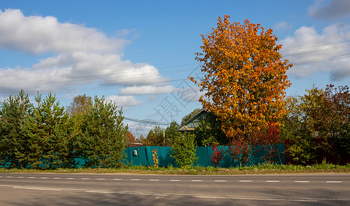 村落秋天 一棵大明树站在一座旧木屋附近的一条农村公路的边缘上图片