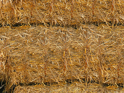 黄色稻草被挤压成巨大的圆环 解释或背景背景图片
