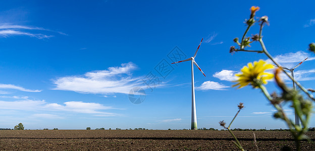 地面风力发电机对着蓝天 绿色技术阵列图片