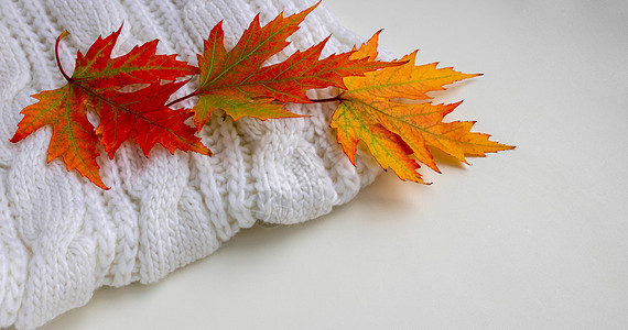 秋天构成 白织围巾上的彩色叶子 秋季概念 平板布局 顶部视图 复制空间图片