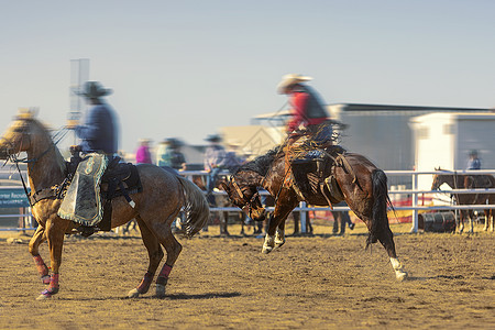 装配排马车牛仔灰尘表演行动竞争者运动风险马背牧场骑术图片