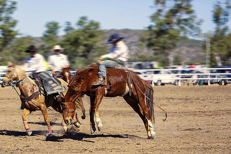 牛仔骑着白金野马家畜灰尘风险行动动物荒野牧场马背平移传统图片