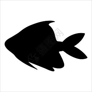 白色背景的黑鱼环形影带 用手画出来的孤立的黑鱼卡通片动物孩子钓鱼婴儿网络衬衫游戏涂鸦世界图片
