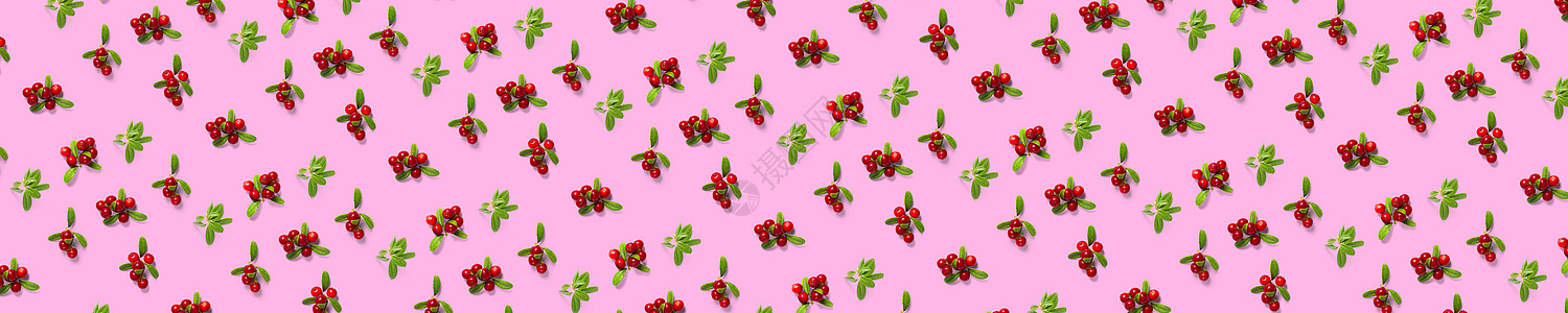 粉红背景的柳草莓背景 新鲜牛莓或树干果 有树叶作为背景图片