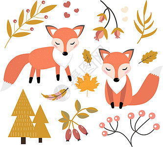可爱的狐狸在秋天的森林中设置对象 带有小的设计元素的集合 孩子们婴儿剪贴画有趣的微笑动物 它制作图案矢量图片