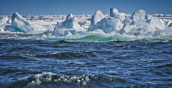 挪威斯瓦尔巴 北极 N80o N包装冰的边缘图片