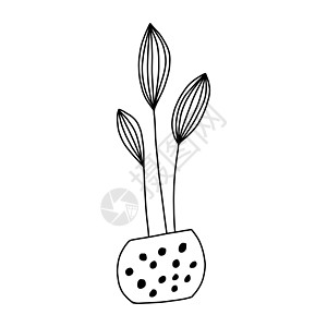 陶器中的小手画花 单面图示元素 白色背景上隔开 矢量插图植物学园艺卡通片手绘艺术卡片装饰植物风格草图图片