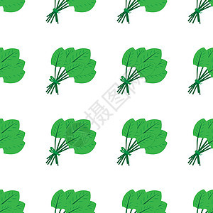 无缝模式由扁绿色豆类菠菜制成 孤立于白色背景 矢量存量插图图片