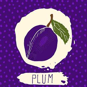 Plum 手画的水果草图和叶子 其背景带有点模式 Doodle矢量羽毛用于标识 标签 品牌身份甜点公司饮食李子修剪食物徽章紫色涂图片
