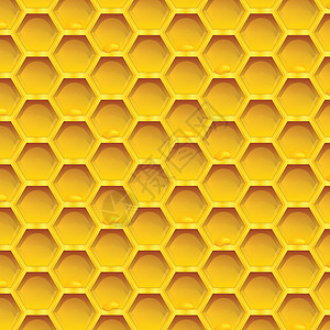 蜂窝里有蜂蜜滴落的蜂窝 金本位背景金子多边形蜂巢横幅墙纸打印蜜蜂插图六边形黄色图片