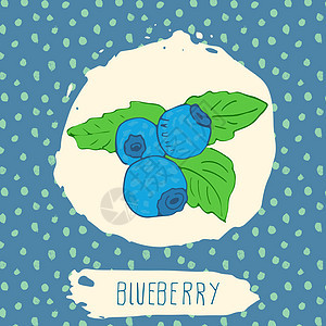蓝莓手画的水果草图 以蓝色背景叶叶为蓝底 有点模式 Doodle矢量蓝莓用于标识 标签和品牌身份叶子插图浆果食物涂鸦果汁热带甜点图片