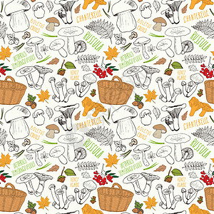蘑菇手画草图 无缝模式 矢量说明篮子手绘坚果收成森林饮食美食叶子帽子季节图片