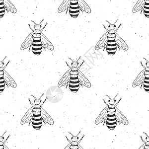 蜜手绘制无缝模式 单色背景矢量插图生物学蜜蜂打印横幅艺术市场荒野贴纸昆虫墨水图片