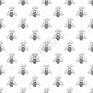 蜜手绘制无缝模式 单色背景矢量插图标签野生动物徽章涂鸦海报蜂蜜荒野生物学昆虫横幅图片