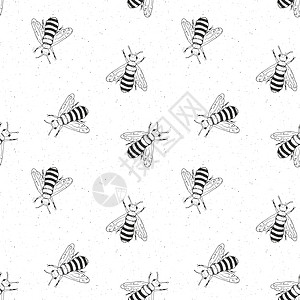 蜜手绘制无缝模式 单色背景矢量插图绘画野生动物徽章荒野翅膀草图昆虫手绘邮票蜂蜜图片