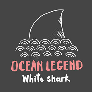 剪切鲨鱼手画草图 T恤衫印刷品设计矢量插图鲨鱼捕食者女孩游泳手绘危险牙齿打印海洋涂鸦图片