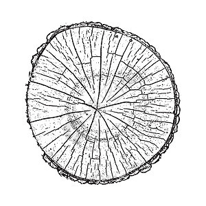 树木 木林生长环和纹理矢量说明树桩圆圈白色木材木工人黑色森林圆形木头松树图片