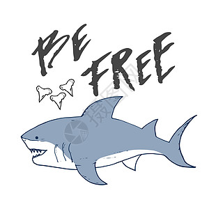 剪切鲨鱼手画草图 T恤衫印刷品设计矢量插图危险球座鲨鱼刻字牙齿潜水孩子涂鸦攻击海浪图片