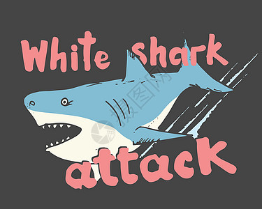 剪切鲨鱼手画草图 T恤衫印刷品设计矢量插图危险涂鸦潜水海浪吉祥物漫画游泳球座服饰绘画图片