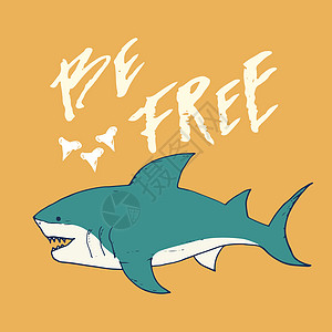 剪切鲨鱼手画草图 T恤衫印刷品设计矢量插图刻字牙齿荒野吉祥物孩子游泳球座鲨鱼捕食者衣服图片