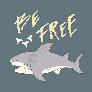 剪切鲨鱼手画草图 T恤衫印刷品设计矢量插图卡通片潜水球座牙齿游泳漫画海报涂鸦海洋服饰图片
