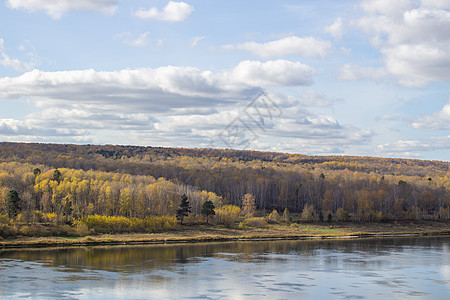 美丽的大河秋天 在树林里反射墙纸公园环境自由荒野蓝色天空流动叶子图片
