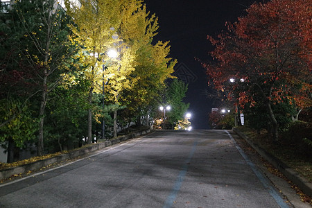 夜里看到铺面行人的道路 或走在树边的路上树木天空旅行人行道建筑学旅游城市生活树叶公园途径图片