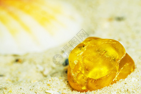 琥珀岩石生物学矿物宏观树脂动物化石珠宝光环昆虫背景图片