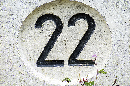 22号圆形牧歌数字石头白色花朵图片