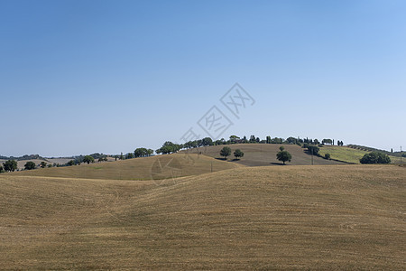 意大利典型的夏季托斯卡纳风景农家阴霾房子丘陵花园橙子树木国家农场日出图片