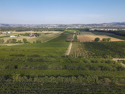 意大利托斯卡纳基安蒂地区的葡萄园风景秀丽的托斯卡纳景观全景收成农场旅行观光农田植被生长场地房子国家图片