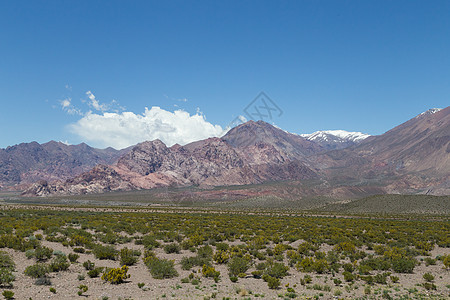 阿根廷7号国家公路一带的景观旅游沙漠爬坡观光国家侵蚀峡谷山脉地质学岩石图片