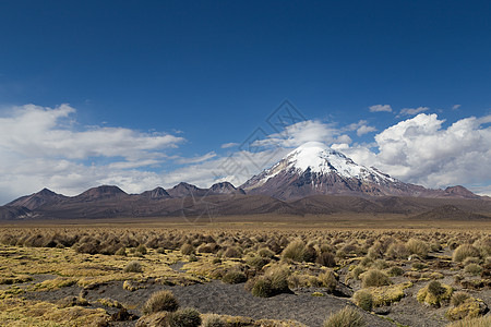 Sajama国家公园顶峰国家高地公园旅行火山旅游沙漠风景拉丁图片