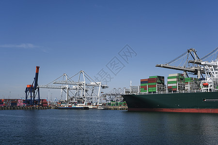 Maasvlakte 2号 鹿特丹起重机船运物流贮存货物载体血管后勤大部分码头图片