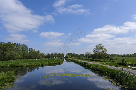 荷兰草地全景景观 经过的可白石路地平线农村栅栏农场牧场环境天空晴天国家农业图片