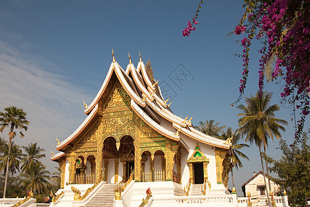 在老老挝的寺庙 有佛像和详细的金殿堂遗产文化天空佛教徒宗教城市旅游金子艺术世界图片