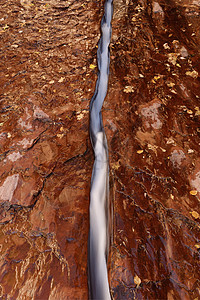 锡安国家公园左福口北溪水流远足深沟冒险假期基岩砂岩峡谷溪流旅游蓝色图片