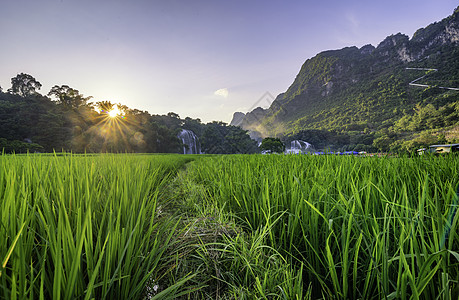 Ban Gioc  越南高邦的德台瀑布旅行瀑布溪流库存风景森林水池绿色天线公园图片