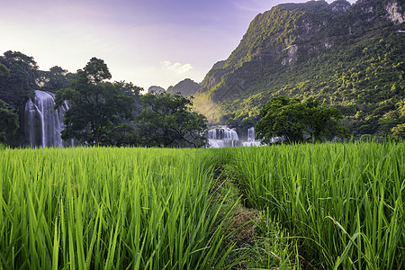 Ban Gioc  越南高邦的德台瀑布世界库存风景水池旅行荒野热带森林瀑布天线图片