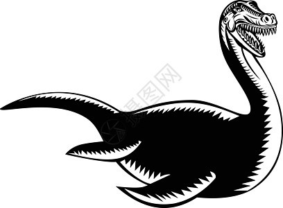 尼斯湖怪物或Nessie游泳回溯木制黑白风格图片