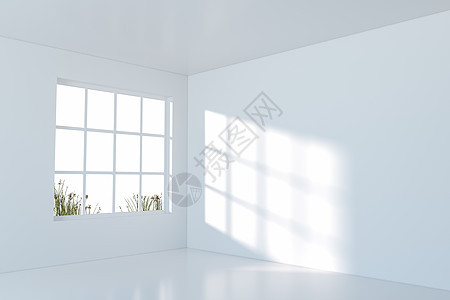 有阳光的白色空房 从窗户出来 3D翻接地面建筑学空白阴影住宅房子渲染公寓装饰房间背景图片