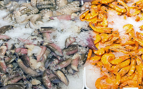 供销售的新鲜海鲜菜单章鱼午餐烹饪展示团体美食店铺食物鱿鱼图片