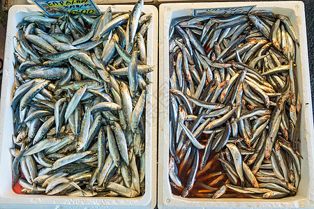 出售小鱼灰色食物动物营养海鲜钓鱼海洋市场饮食渔业图片
